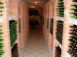 Zahájen prodej vína ročníku 2007 z vinařství Morávia Víno Prušánky 