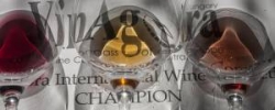 Naše vína bodovala na mezinárodní soutěži VINAGORA