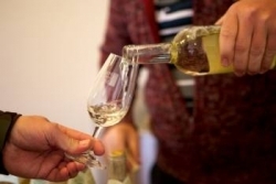 Zveme Vás na řízenou degustaci vína v Brušperku
